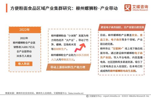 技術賦能與消費驅(qū)動 2024年中國方便粉面食品行業(yè)洞察與趨勢展望——基于中國食品科學技術學會與艾媒咨詢研究報告的交流探討